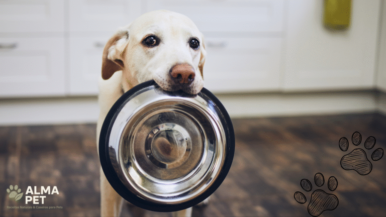 Cão segurando vasilha vazio, esperando por alimentação natural para pets