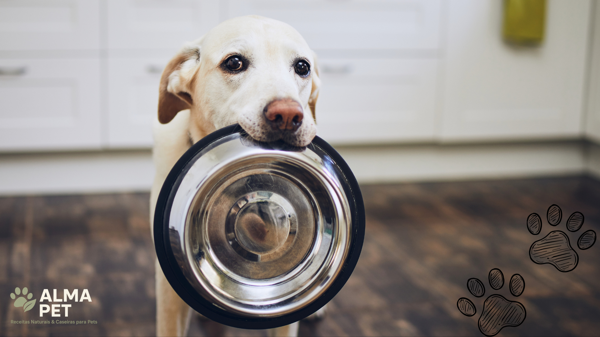 No momento, você está visualizando 🐾Alimentação Natural para Pets