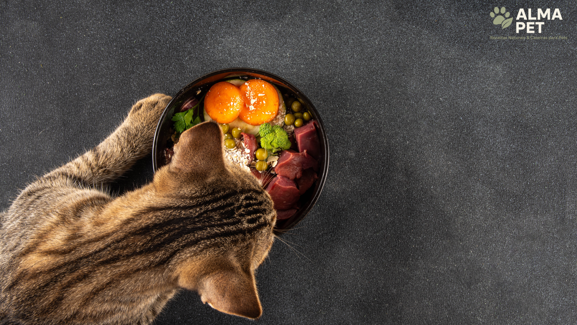 No momento, você está visualizando 🐶Guia Completo de Alimentação Caseira