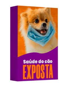 B 2 pet 240x300 18