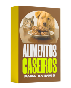 Cap alimentos caseiro 240x300 7